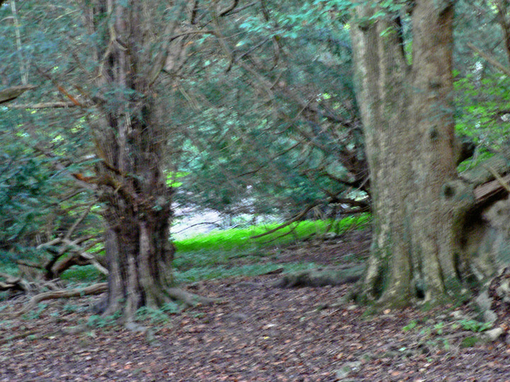 P1100584