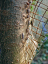 P1100807