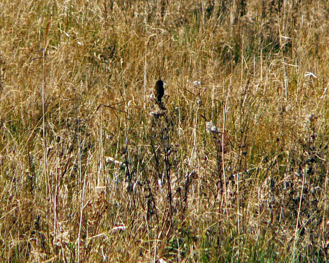P1110503