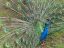 P1130558