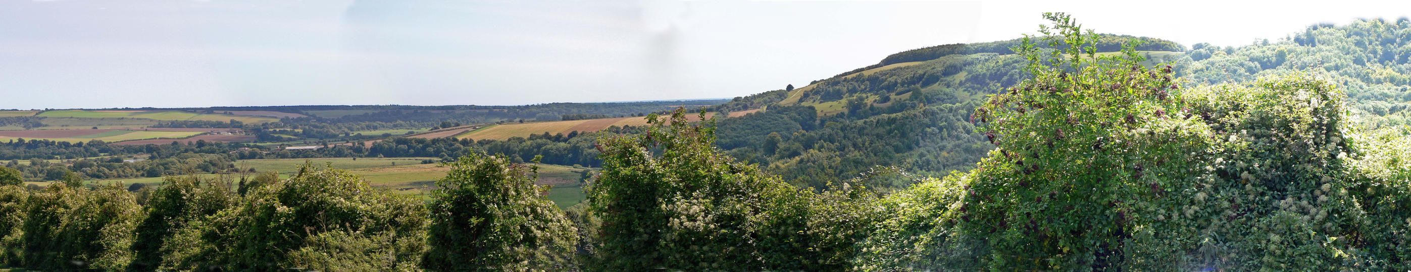 P1170144
