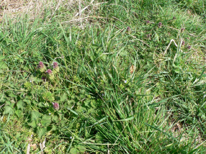P1140282