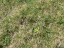 P1140279