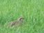 P1140432