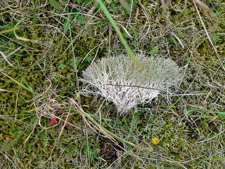 P1180717