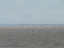 P1180770