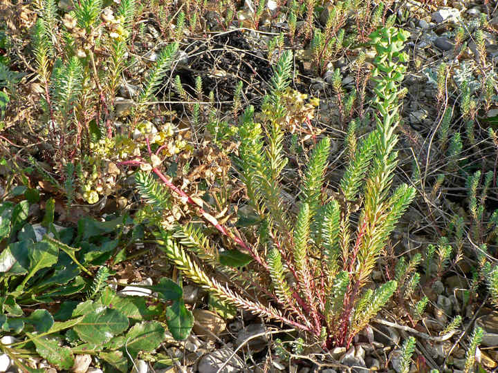 P1190614