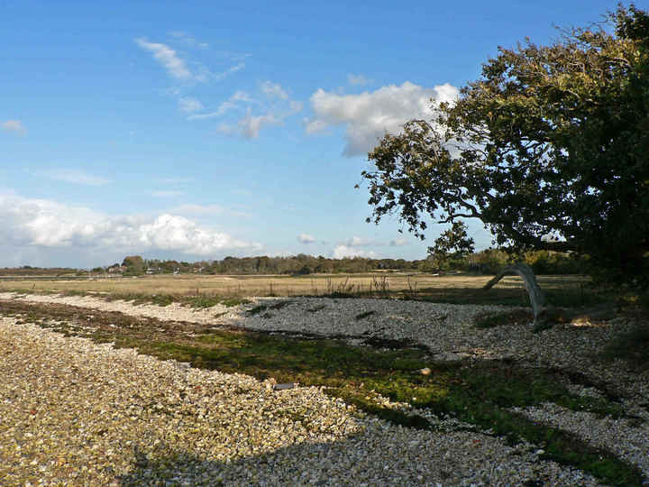 P1190620