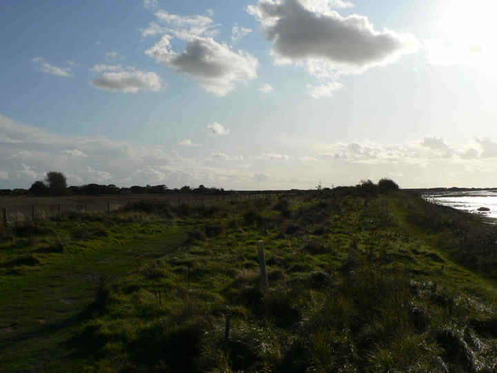 P1190641