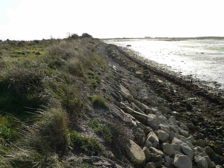 P1190646