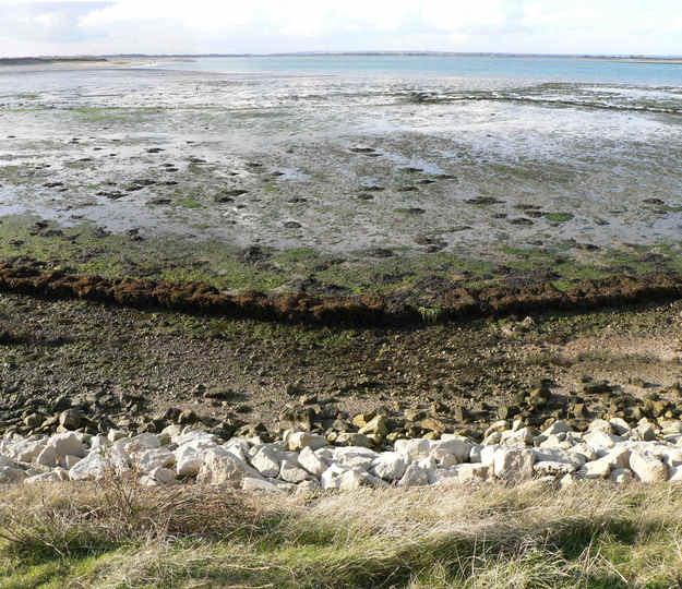 P1190650