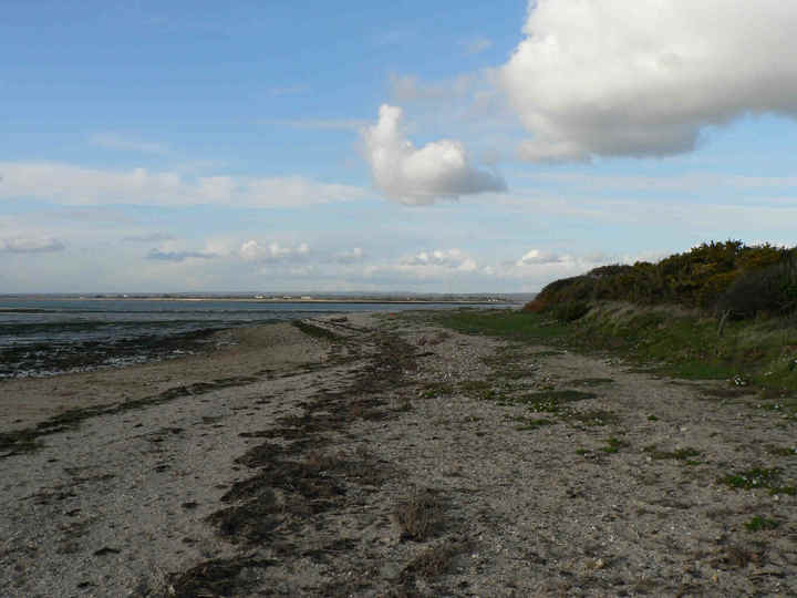 P1190660