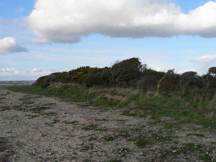 P1190661
