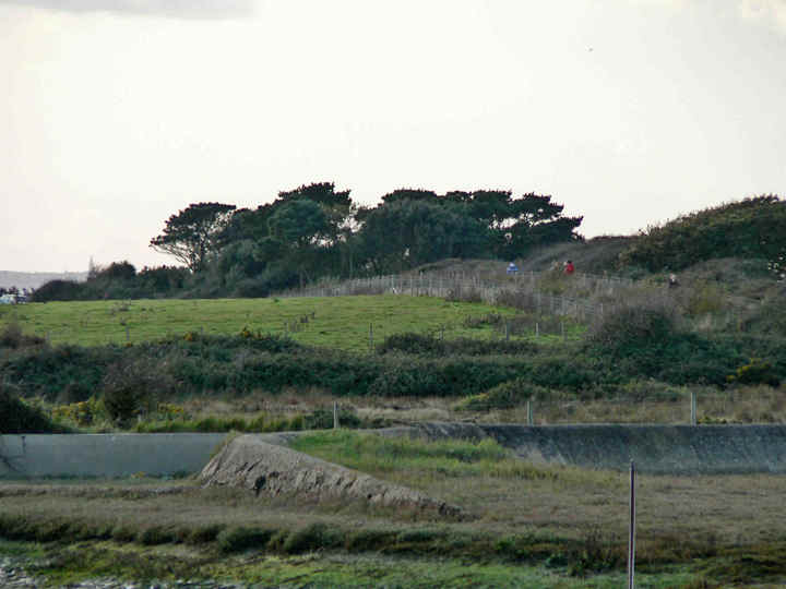 P1190669