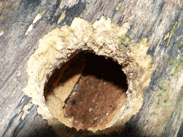 P1210006