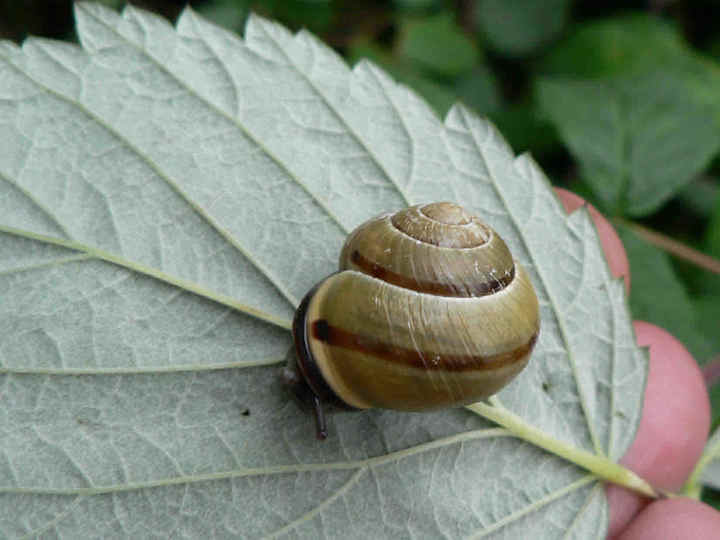 P1190565