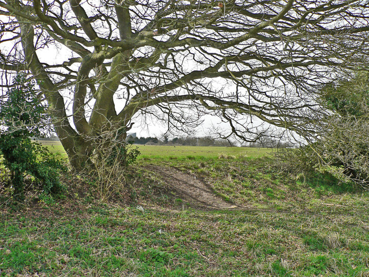 P1240269