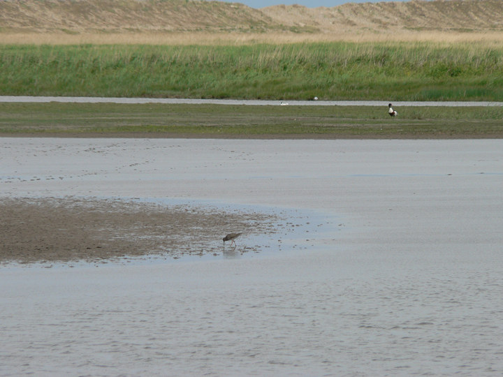 P1250918