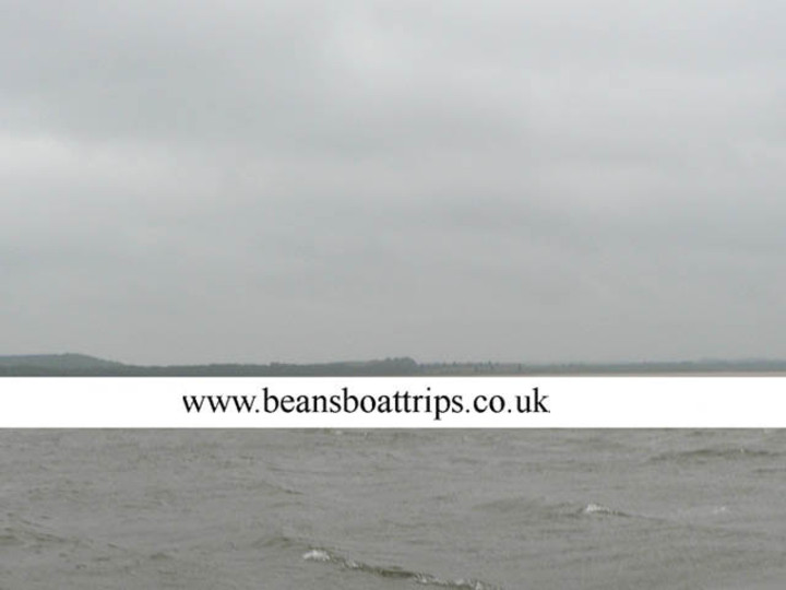 beansboats