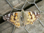 P1250898