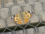 P1250900