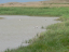 P1250907