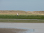 P1250921