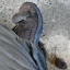 P1250944