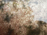 P1260010