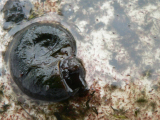 P1260011