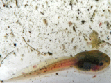 P1260035