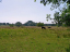 P1260599