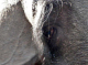 P1280267