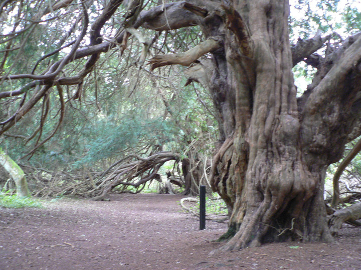 P1300215