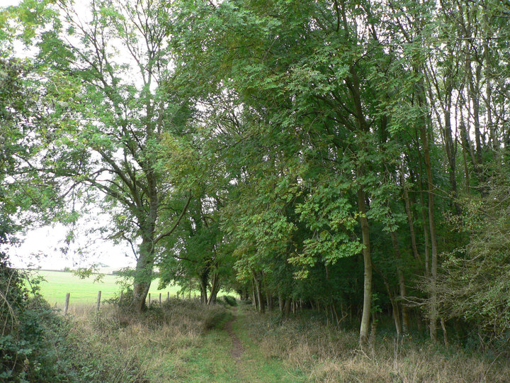 P1300246