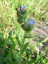 P1350204