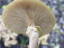 P1360813