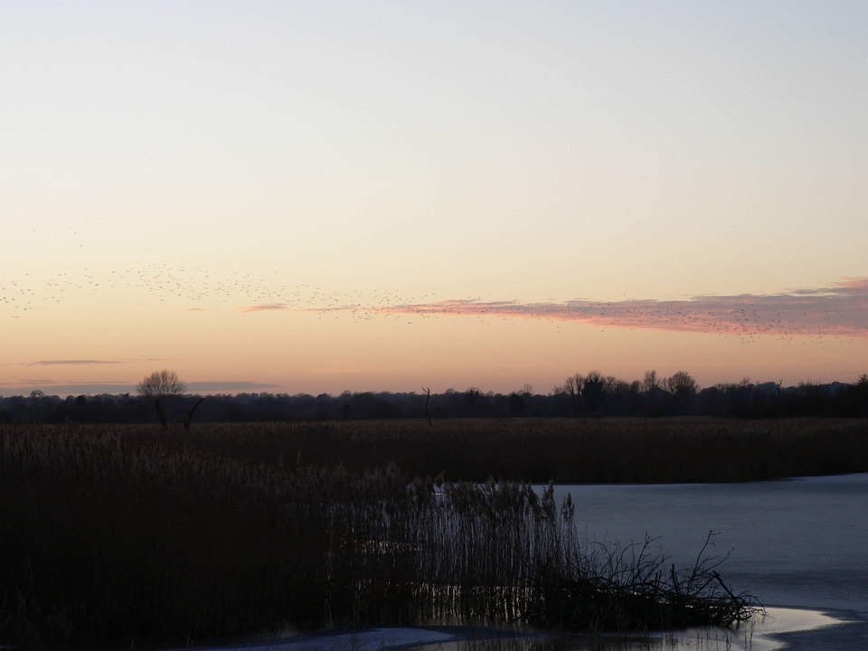 select left of pic for previous, right for next, top for index