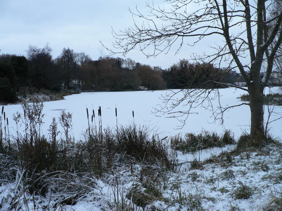 select left of pic for previous, right for next, top for index