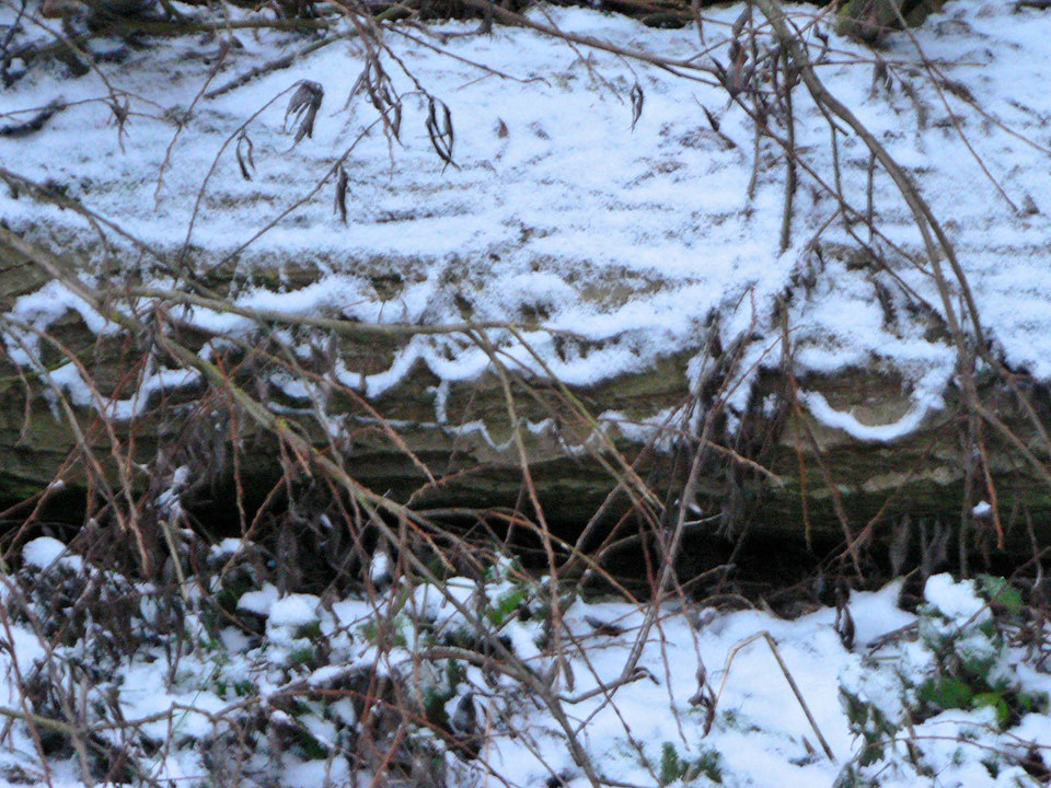 select left of pic for previous, right for next, top for index