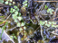 P1411912
