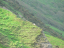 P1410894