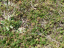 P1420488