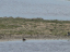 P1420767