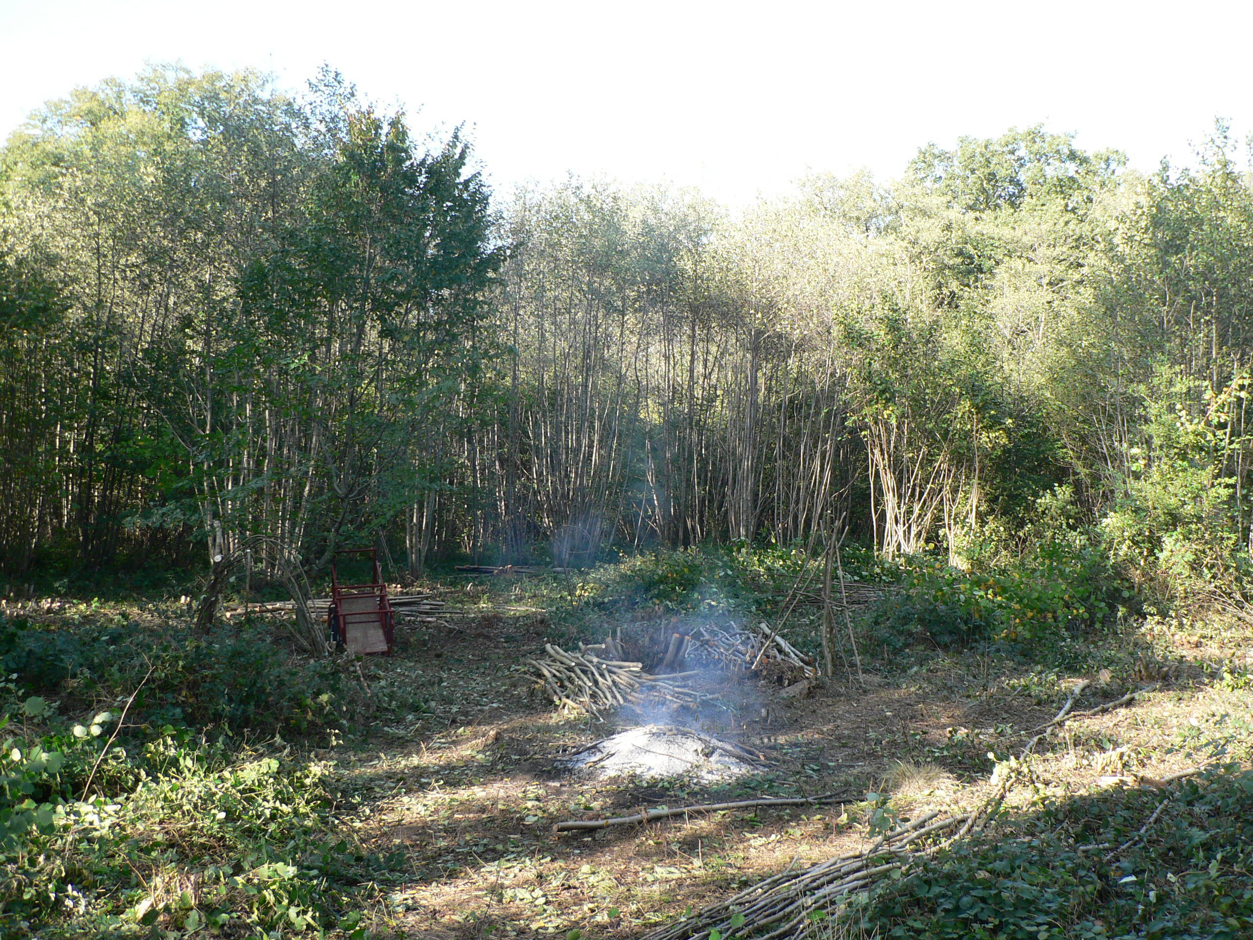 P1450027