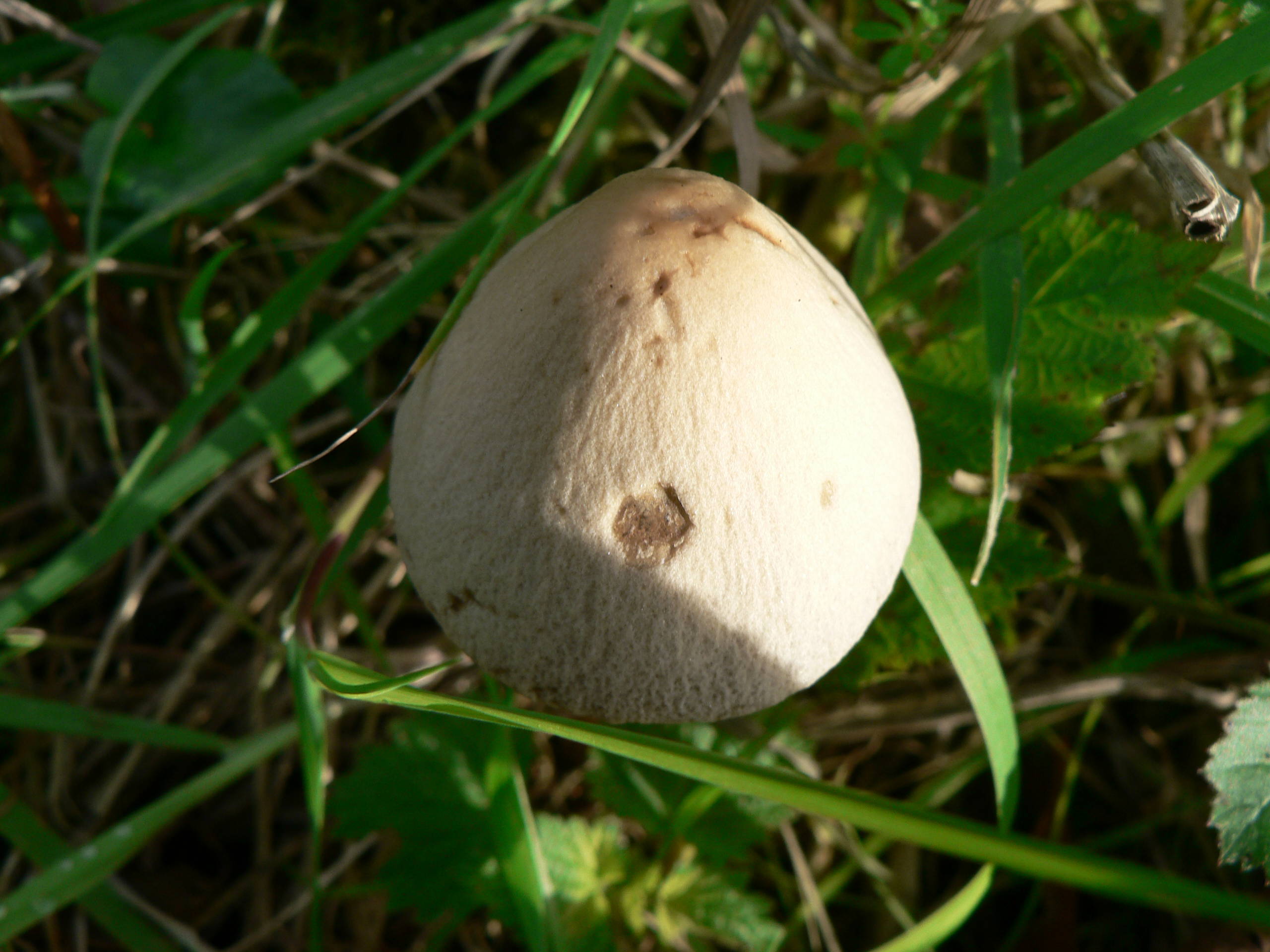 P1450249