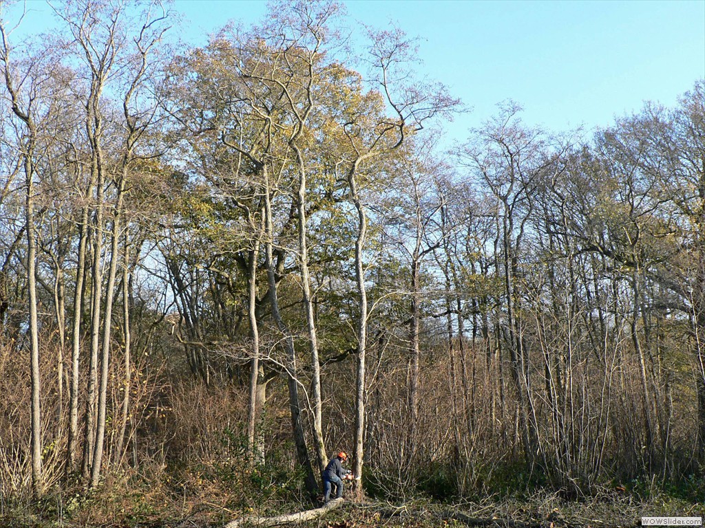 P1450675