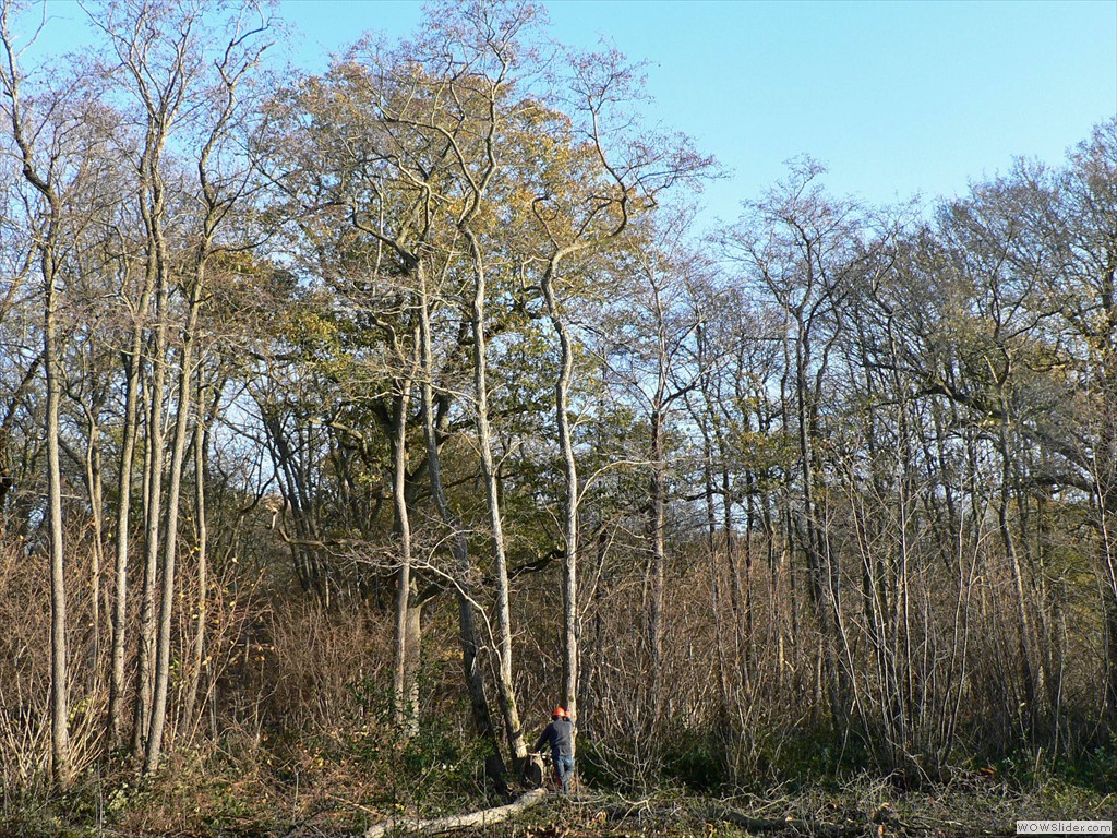 P1450676