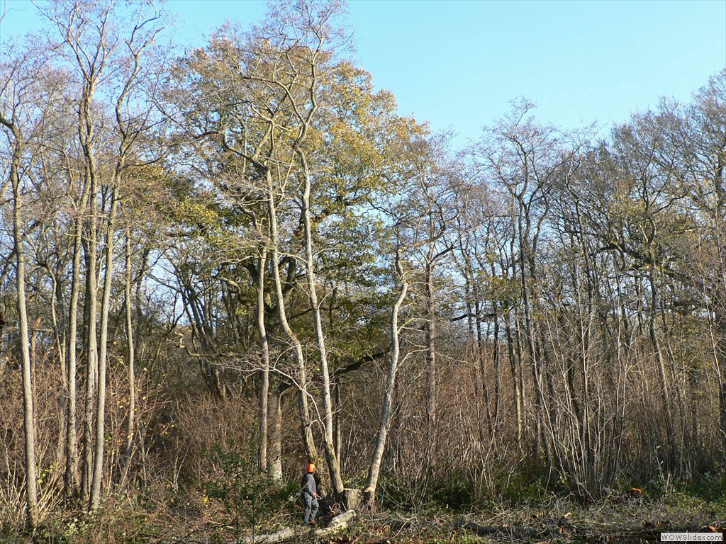 P1450679