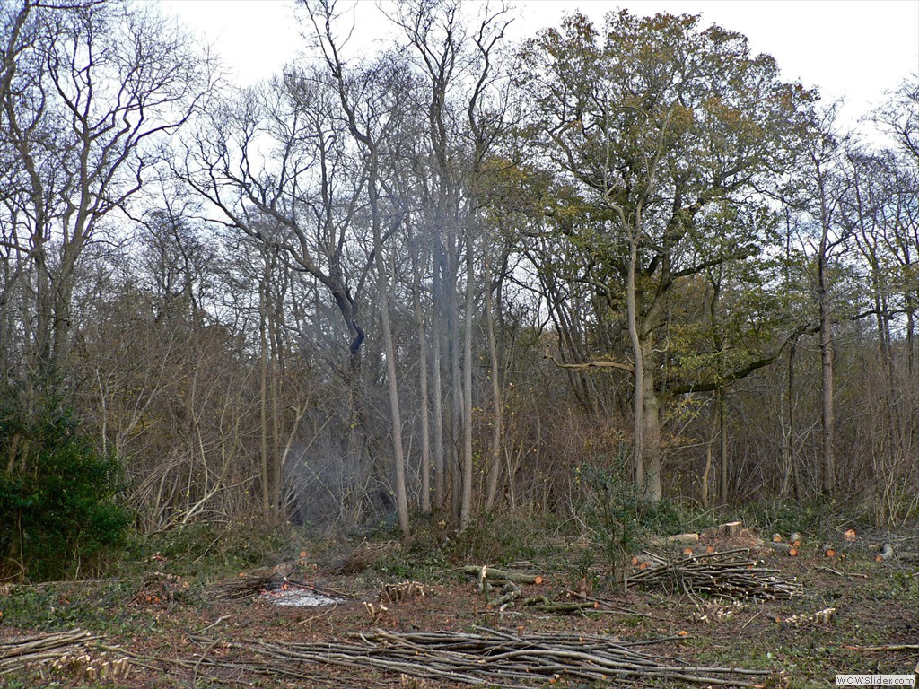 P1450694
